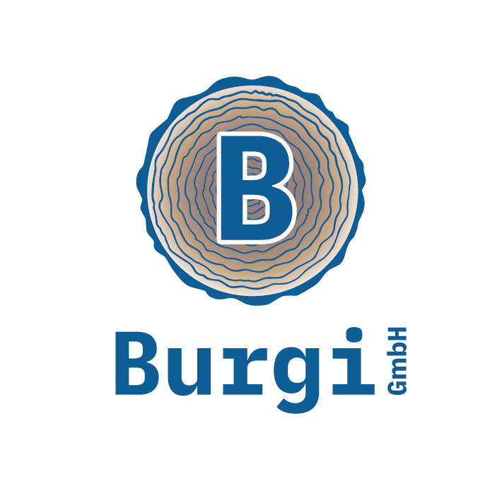Burgi